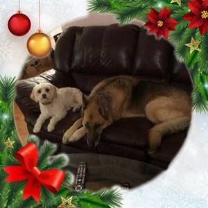 Meet your Posher, Barbara